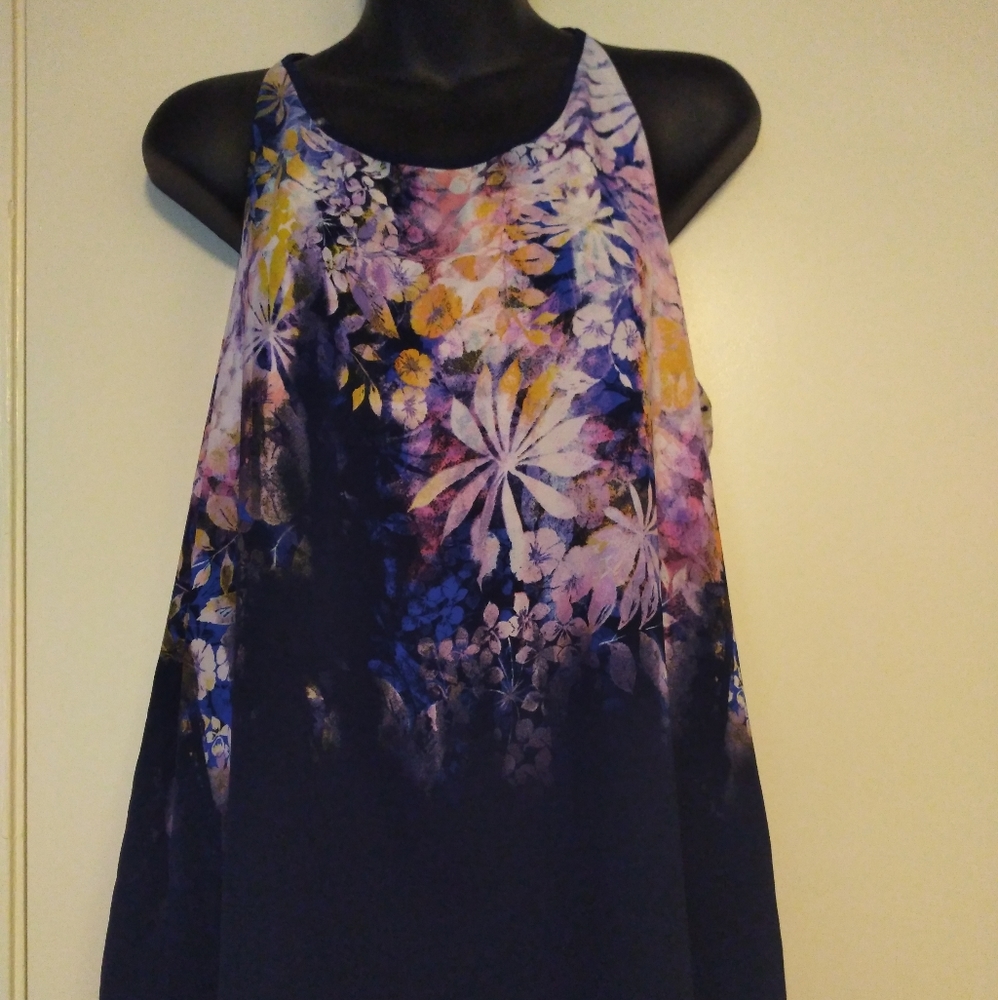 Blouse Zac Rachel Size LG and color Blu and pink